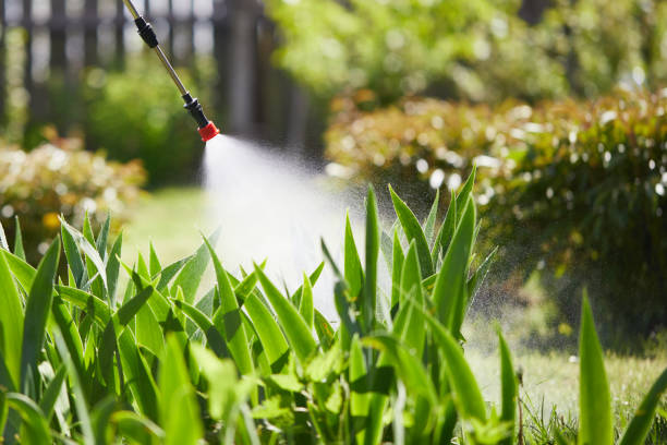 24/7 Emergency Termite Control experts in Santee, SC