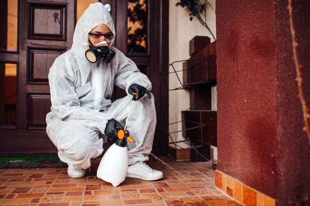 Reliable Termite Control contractor in Santee, SC by Nex Pest Control